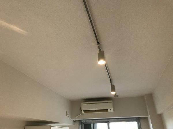 カーサ・パセオ412号室 リビング