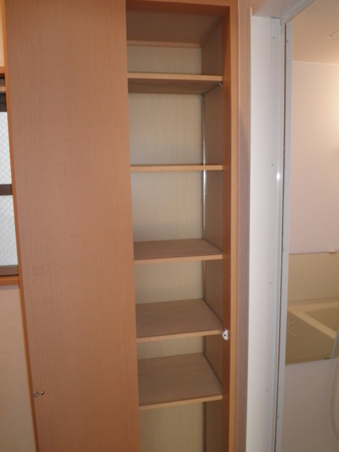 スカイフィールドⅡ 収納