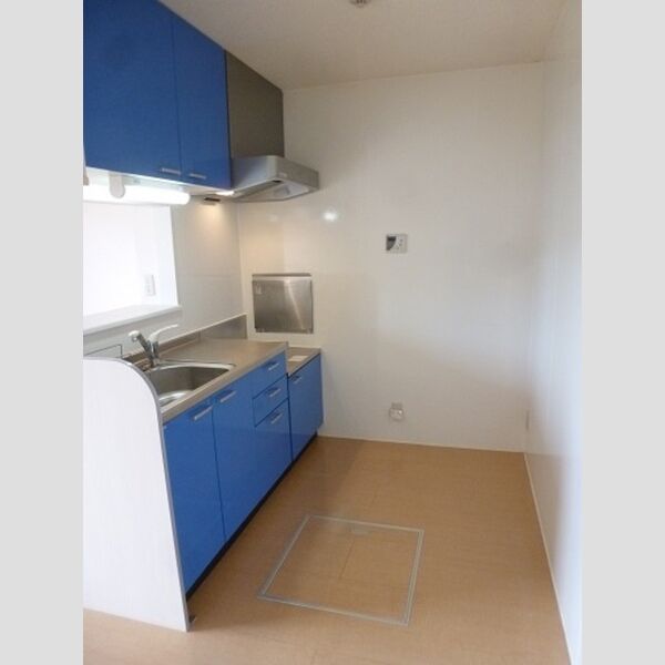 ハピネス(朝霞台)105号室 キッチン