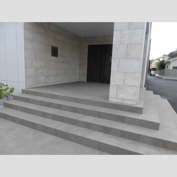 アエル新所沢308号室 エントランス