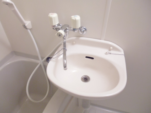 パラシオン田中0211号室 洗面