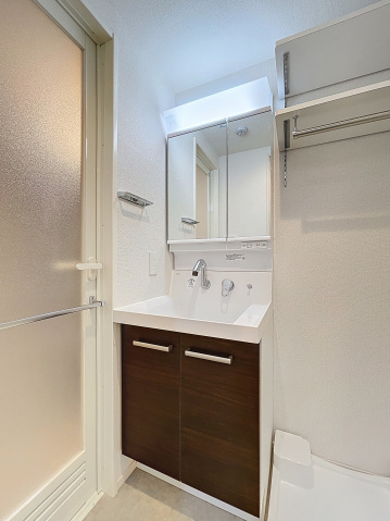 アイル グランデ川口209号室 洗面