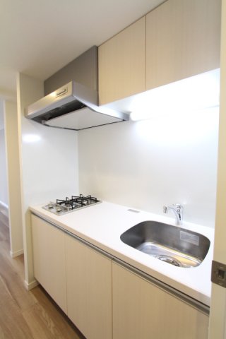 プラウドフラット大森Ⅲ209号室 ※参考写真