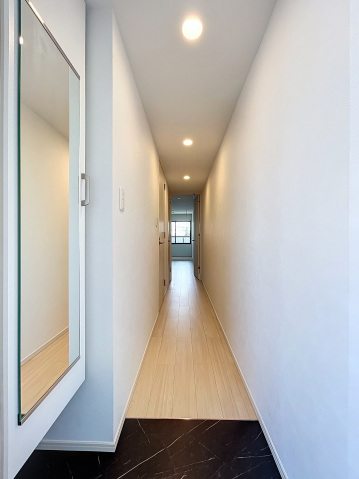 スカイコートリュクス品川大崎401号室 玄関