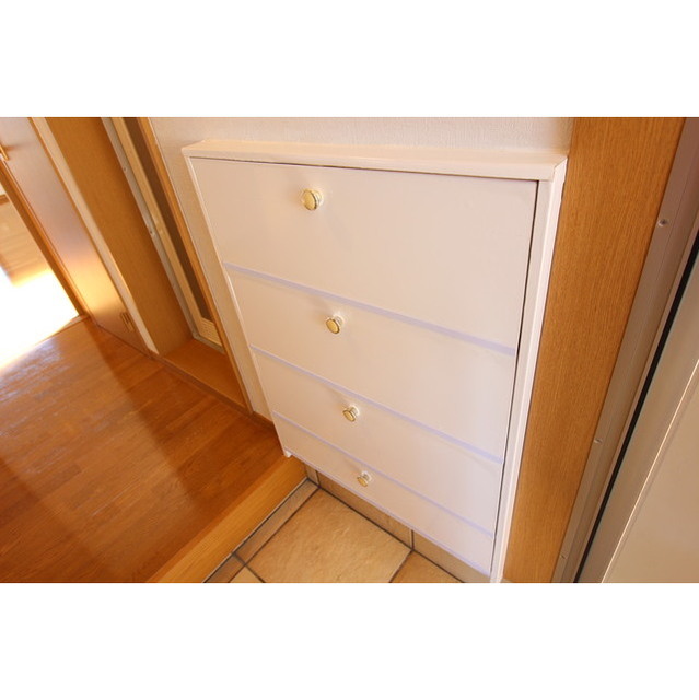 ラ・ヴィータ201号室 シューズＢＯＸ