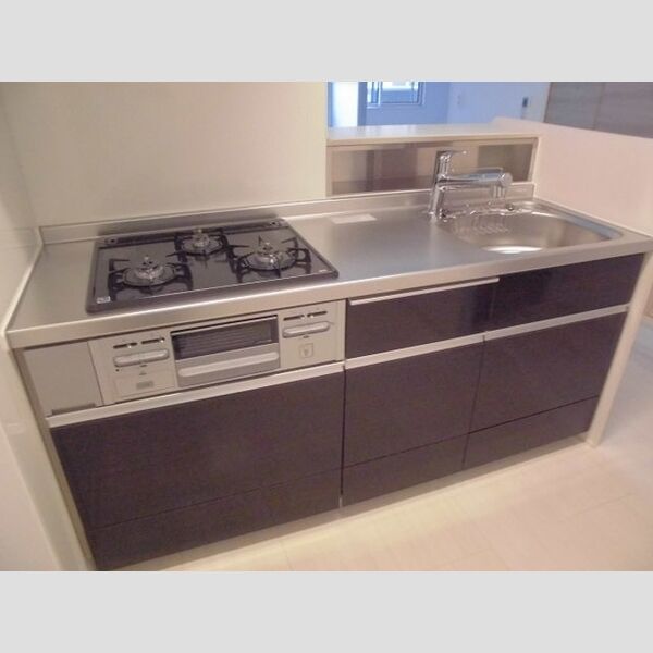 Linx　Park　Side　リンクス パーク サイド201号室 キッチン