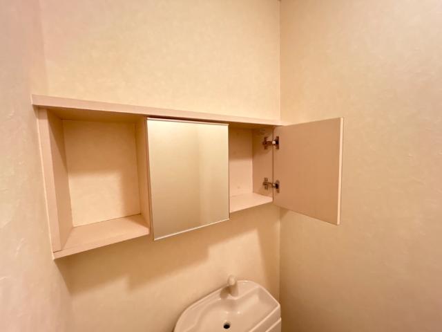 ラッフィナート田園102号室 トイレ上部収納