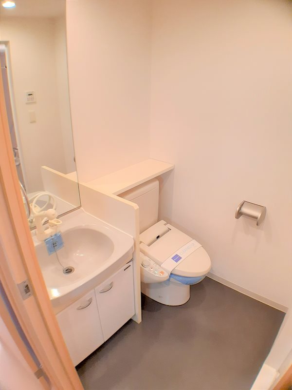 レジディア島津山6階 洗面