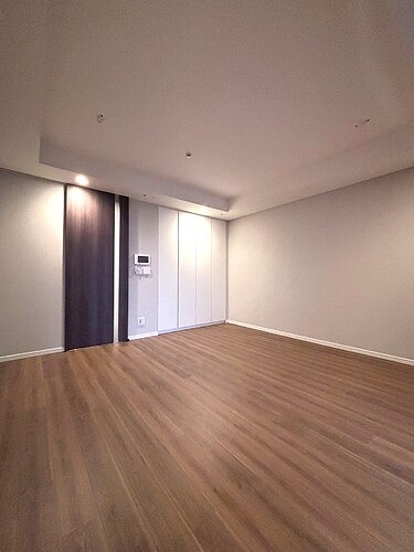 麻布台ヒルズレジデンスＢ29階 リビング