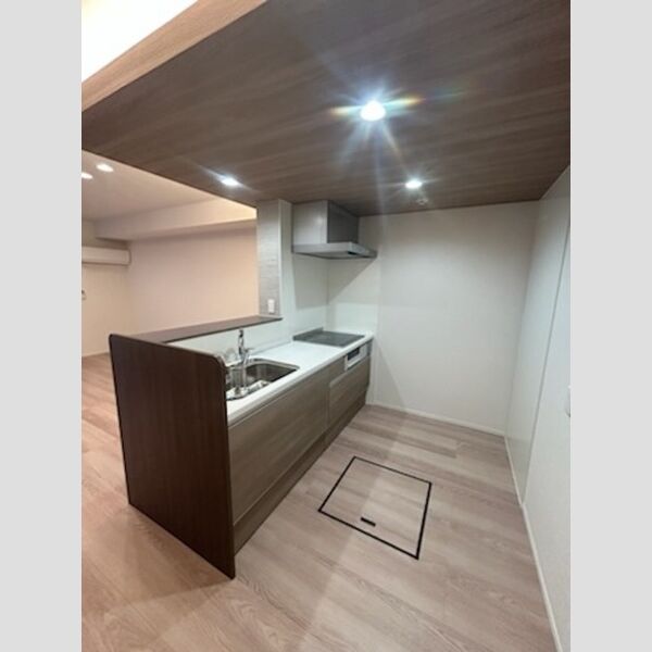 センカⅢ105号室 システムキッチン