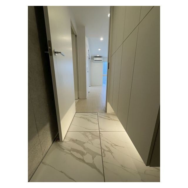 PASEO武蔵小山0102号室 玄関