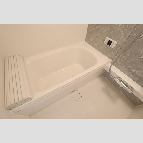 Dアヴァンス高富B 追い焚き給湯1坪タイプ