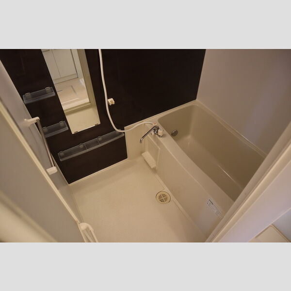 エアロドリーム203号室 浴室