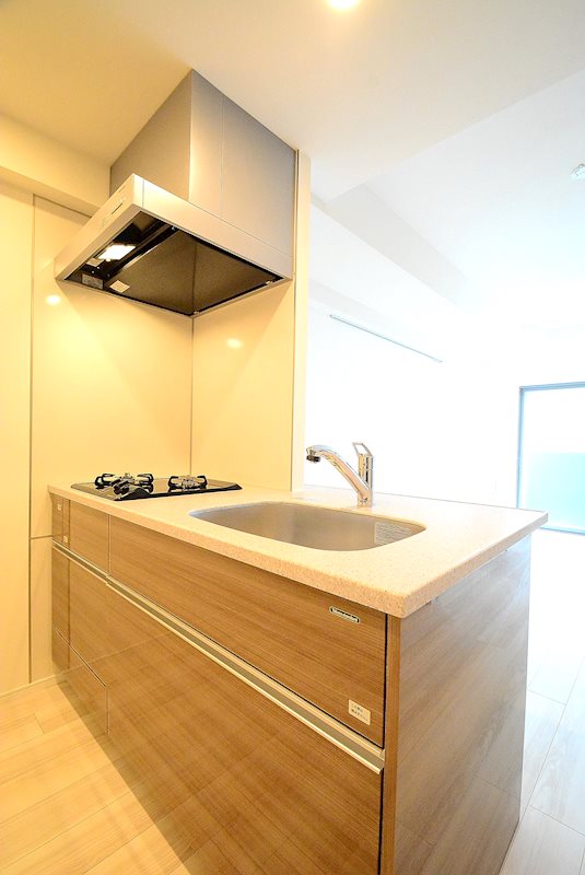 ステージグランデ東武練馬5階 ※カラータイプ異なります。