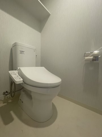 エヌステージ秦野駅前0302号室 トイレ