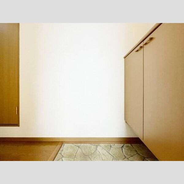 ドミール　D 玄関