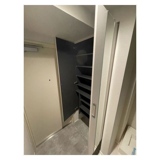 ドゥーエ亀戸Ⅱ0803号室 玄関収納