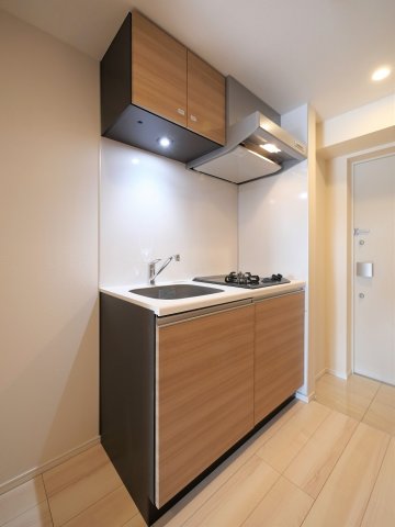 ラフィスタ蒲田南Ⅱ411号室 同建物別部屋の参考画像