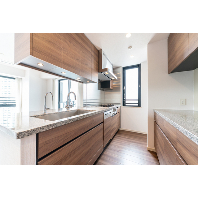 ウェリス高輪 キッチン・バックカウンター　食洗機・ディスポーザー・浄水器つき　2026年2月撮影