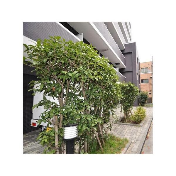 篠SG401号室 部屋その他