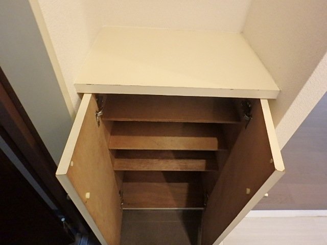 ライオンズマンション横浜第三 靴入