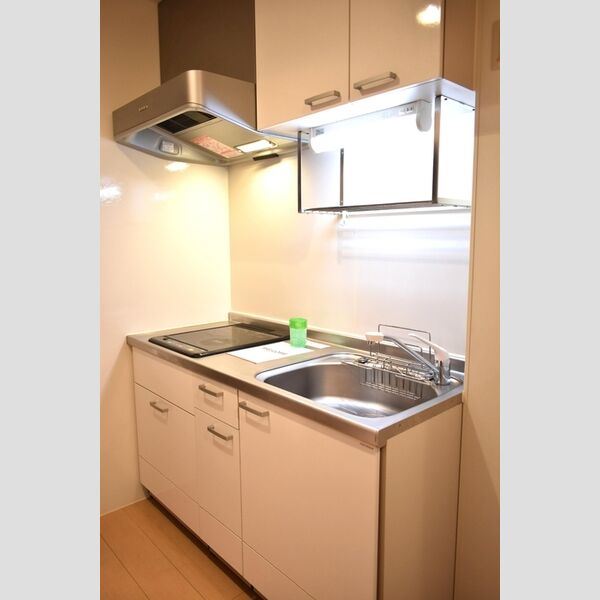 パインズ　ヒル101号室 システムキッチン