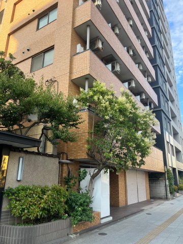 ダイヤパレス亀戸の外観画像