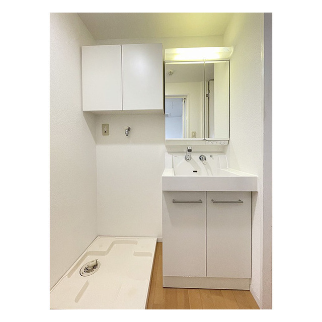 アンリシェール橋本Ａ302号室 独立洗面化粧台