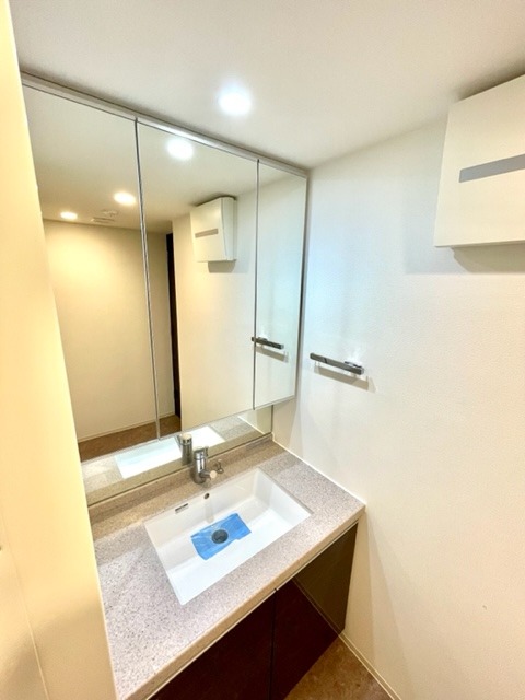 レジディア西小山4階 洗面