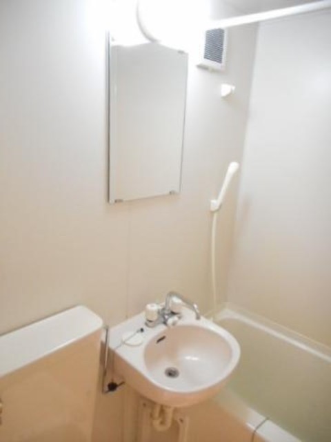 レルシア光が丘公園0103号室 洗面