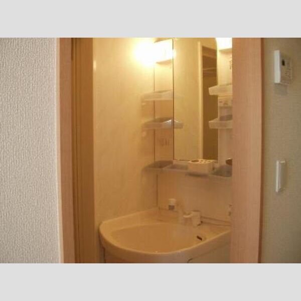 グラン　フェルト101号室 洗髪洗面化粧台101