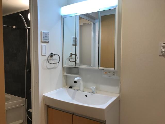 フローラ小石川 洗面