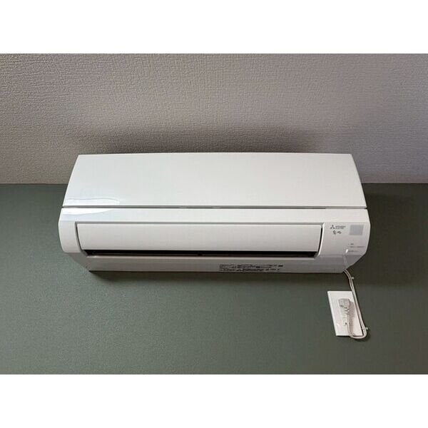 ベレガンス流山松ヶ丘Ⅱ0201号室 部屋その他