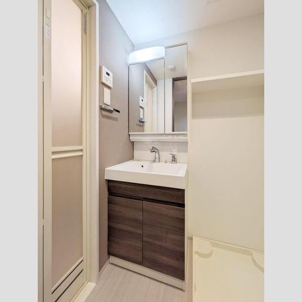 S-RESIDENCE横濱吉野町burgeon801号室 洗面