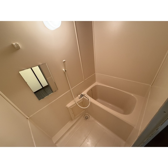 エスピーパレスA1530C号室 お風呂