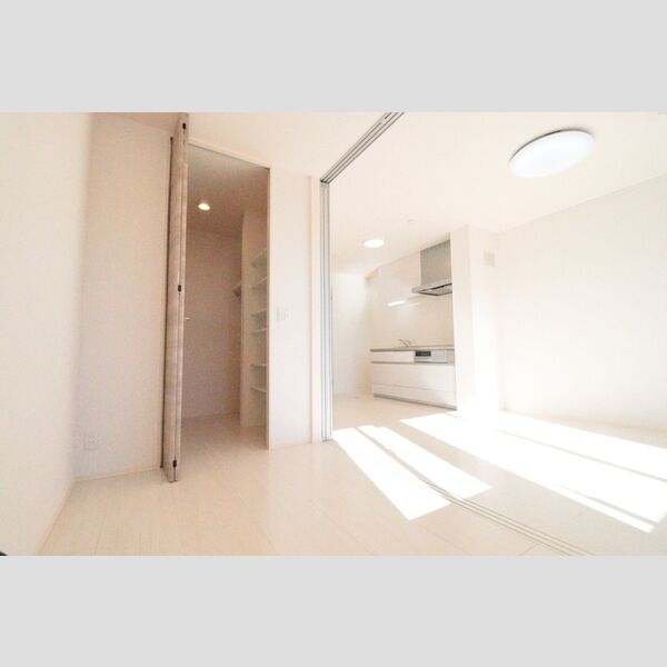 スカイシャイン 洋室3帖