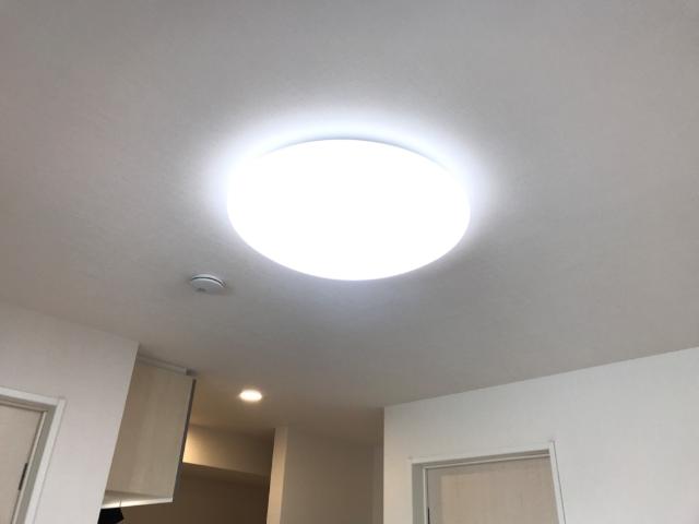 エルミタージュⅡ 照明