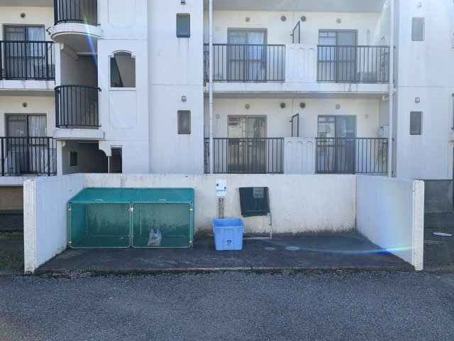 エクセレンス湘南台0305号室 ※他号室参照