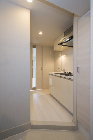 DIPS墨田EAST202号室 玄関