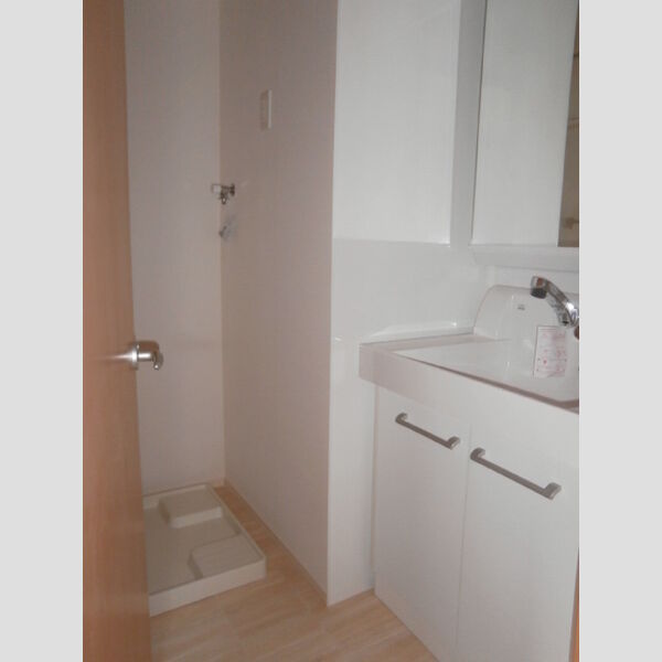 グッドベルテ横浜302号室 洗面台