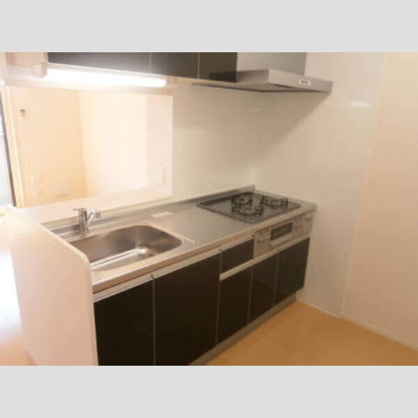 ウェスト・アンソレイユ203号室 203 キッチン