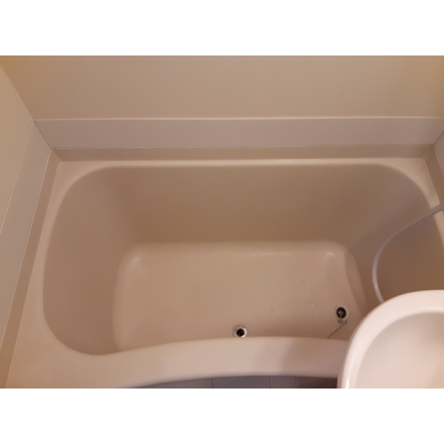 スカイコーポラス0203号室 お風呂