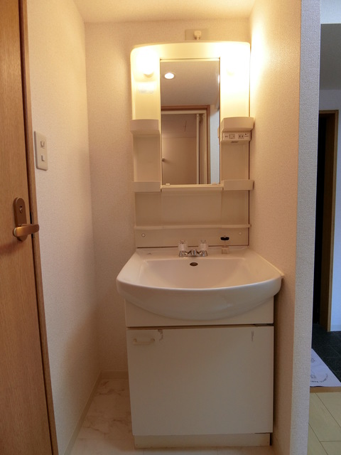 アメニティ高幡0201号室 洗面