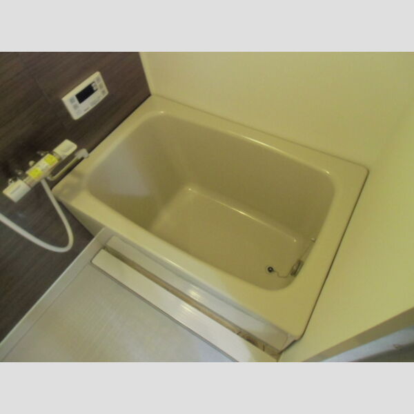 シャインクロコ303号室 303(浴室)