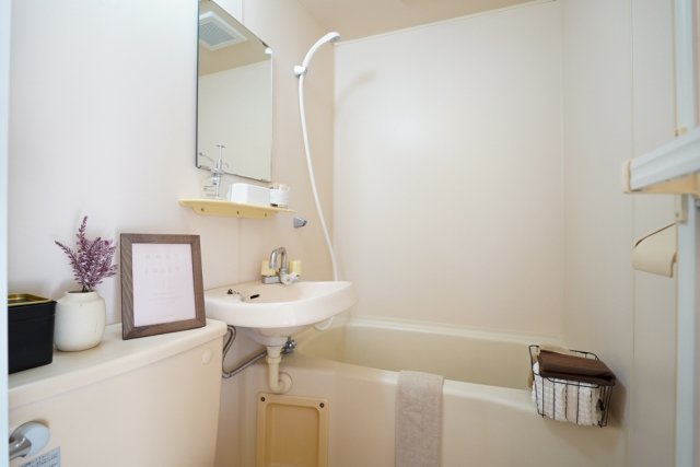 ダイホープラザ豊玉5階 ※家具小物はイメージです