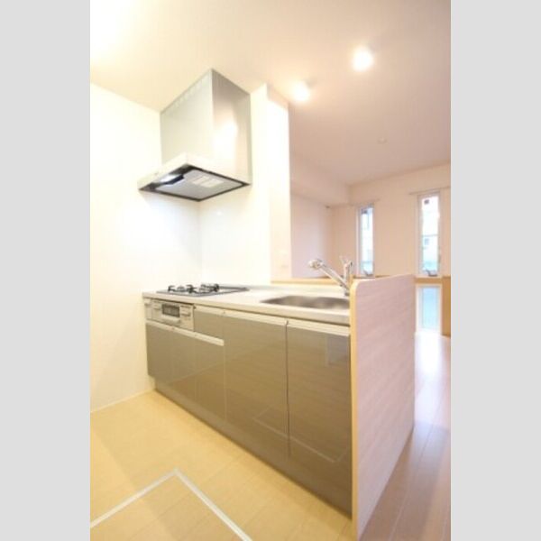 サンリバー 102キッチン