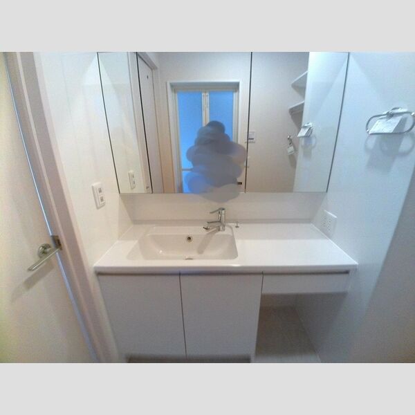 エクセル川端F202号室 洗面