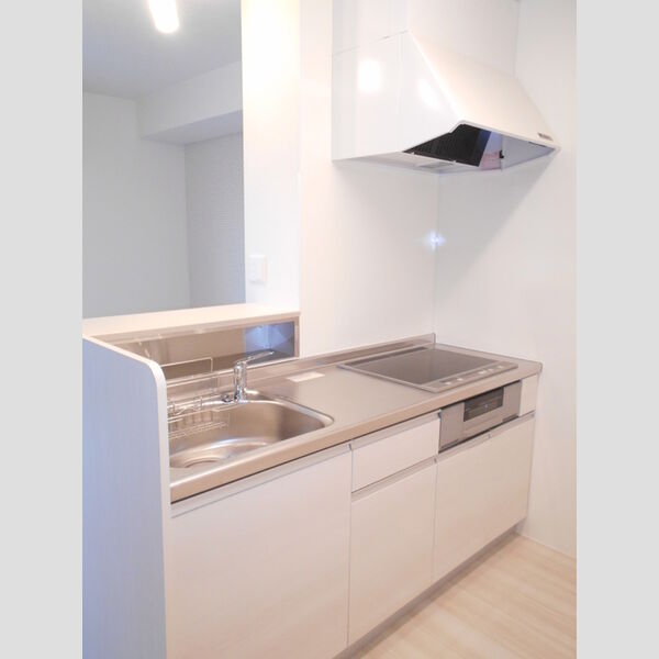 プレミアムリコス　壱号館 対面システムキッチン