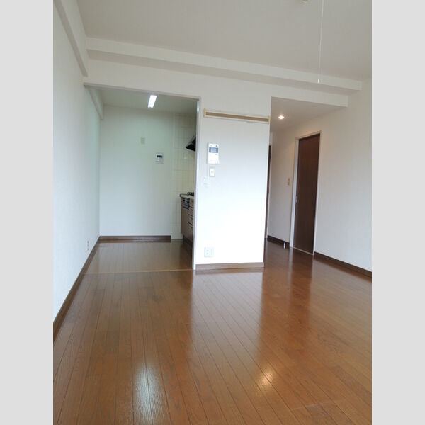 プルニエール大泉学園302号室 LDK11.8帖