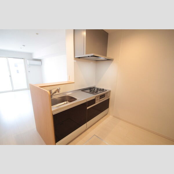 ルーチェオザワ203号室 システムキッチン3口コンログリル付き